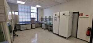 Lab 3